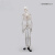 东部工品 人体骨骼模型 全身骨架展示教学模型 人体骨骼模型85cm 