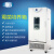 上海一恒 BPMJ霉菌培养箱 多段程序液晶控制器 BPMJ-250F
