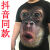 3D个性立体搞笑猩猩猴子动物短袖男滑稽大码胖子T恤印花恶搞衣服P 猩猩 S[适合90-105斤穿]
