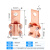 云启格定制JT铜接线夹 铜线夹 设备线夹 梅花夹 铜过渡蝴蝶螺栓型线夹 JT-500A