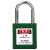 川工聚惠 BD-G301-2 38×4MM钢制锁梁 小型工程安全挂锁 货期10天 单位：把 绿色 通开型KA 10天