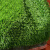 巨成云 仿真草坪人造草地绿色垫子阳台庭院塑料假草皮 三色草 草高3cm 宽2米*长25米【无背胶】