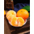 格沃斯（GEWOSI）广西武鸣沃柑10斤新鲜水果当季整箱一级桔子沙糖 9斤 商超果果径80mm老农亲选高品质