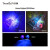 TANK007探客 紫外线手电筒 TK566 395nm玉石翡翠荧光剂验钞检测笔 A1透明镜 标准套餐