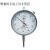 桂林百分表0-3-5-10-30-50-100山字指针示表带钻高精度量具 020mm