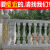 别墅欧式罗马柱模具栏杆围栏阳台护栏花瓶柱现浇水泥建筑模板圆柱 栏杆卡扣2粒 84x84x84cm