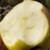 青尊园日本引种青森王林苹果新鲜脆甜多汁冰糖心雀斑甜脆苹果礼盒 6颗 精选装