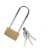 苏识 SS1002  长梁黄铜挂锁 文件柜锁 门锁钥匙锁 柜子锁  锁宽30mm+锁钩净高55mm 单开(把) 黄色 含钥匙×3把