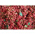 藤椒种子韩城大红袍花椒种子 九叶青花椒种子 山花椒麻椒油椒树籽 品种自选100粒