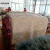妙普乐高档羊毛毯子100纯羊毛加厚大床内蒙澳洲羊毛皮毛一体整张羊皮床 自然白精选豪华整皮款花色布 90*180厘米