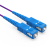 胜为（shengwei）FSCK-1100 电信级铠装光纤跳线 SC-SC网线单模单芯10米 防鼠咬室内抗拉尾纤缆（条）