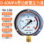 仪表不锈钢耐震压力表yn100油压液压表1.6mpa带油气压表 径向带边40mpa=400公斤 M20*1.5