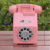 渺帆创意透明存钱罐超大号储蓄罐可爱塑料储钱罐卡通儿童生日礼物 复古电话机粉色竖版