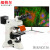 纽荷尔 超高精细高端显微镜四色荧光精细拍摄分析成像科研显微镜BGVUV四色荧光激发 荧光NEXT50定制货期5天