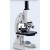 派弘显微镜10000倍小学生生物实验学生手机光学电子儿童科学 探索版15000倍+卡尺+30标本