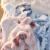 NASALIKE冬季新款保暖棉服男女炸街潮牌扎染宽松情侣装羊羔毛绒外套加厚款 灰色[加绒款] 3XL 建议145-160斤