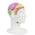 脑电定位帽经颅磁定位帽韧性可定制经久耐用脑电图电极帽舒适 20导M（成人一般）