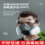 LISM防毒面具全面罩喷漆专用口罩呼吸防护罩防烟全脸防尘面罩放毒氧气 双罐防尘毒7件套+防雾大眼罩+20