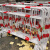 宝卫侠（BAOWEIXIA）市政移动铁马防护栏道路交通隔离栏施工围栏红白铁马1*1.5m