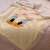 迪士尼（DISNEY）草莓熊羊羔绒毛毯冬季披肩单人宿舍薄空调被盖毯小被子卧室小毯子 黛西 100*140cm毛毯(送抱枕一个)