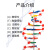 定制DNA双螺旋结构模型大号分子结构模型学生用生命科学教学仪器 DNA双螺旋模型(大号)