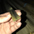 钢板防护罩铜滑道耐磨黄铜机床铜条铜滑道数控机床铜滑轨耐磨铜片 5X20铜滑道（2米）