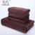 龙代（longdai）纤维洗车毛巾 保洁抹布清洁擦拭布吸水毛巾擦车布160*60cm 咖啡色