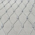 丰昂 不锈钢绳网动物园笼舍鸟语林编织绳网安全防护防坠网柔性防护网 2毫米粗12厘米孔/平米价