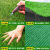 仿真草坪地毯人工假草皮户外铺垫人造塑料草绿色围挡足球场幼儿园 2.0厘米?高档款超密绿底