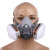 婕茵桐7502防毒面具 防尘面罩防毒防有毒气体活性炭口罩防喷漆/甲醛/油 6200套装