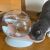 调皮窝无线猫咪饮水机不插电猫猫饮水器狗喝水自动喂水大容量猫咪饮水器 蜗牛猫咪饮水机[水箱+螺母]