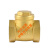 铜止回阀水管水泵用逆止阀自来水单向阀 大型DN20(软密封)(3/4)(6分)