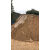 水泥沙子乐山广汉黄沙中粗黄沙水泥河沙成都装修专用沙拉法基成都 拉法基水泥