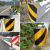 护栏端头反光膜40路边黄黑斜纹反光贴高速道路交通立柱警示反光标 10cm级白色45米长