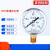 上海上仪宏沃仪表Y60普通压力表-测量气压水压液压油压螺纹14*1.5 0~40MPa