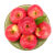 华圣 陕西洛川红富士苹果12粒 净重4.8斤 一级铂金大果 单果180g-270g 生鲜 新鲜水果