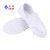 紫羲（ZXFH.NET）生产加工用防静电网面鞋 白蓝色PVC帆布两孔网眼鞋防静电工作无尘鞋 工作鞋 白色网面鞋+10双 46码