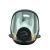 唐丰TF-AL防毒全面具硅胶口罩防工业粉尘喷漆防有气体氨H2S酸性气体防火面罩 TF-AL面具一个