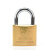 威力狮（wynn‘s）精抛直开铜挂锁 小挂锁 铜色 防盗窗挂锁 家用门锁 25mm (TG025)