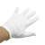 勒塔（LETA） 礼仪手套马术魔术保安司机驾驶员白手套10付装 LT-PPE577