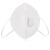 伏兴 FX555 防护口罩 带呼吸阀 耳带式折叠防尘口罩 10只独立装