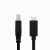 存储巴士（databus）移动硬盘盒USB3.1线TypeC转B接口元谷线缆C-B 黑