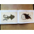 布洛赫手绘鱼类图谱