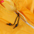 谋福 多功能连体防护服防尘服防雨服劳保雨衣工作服 粉末喷漆打磨 橙色 特大2XL-180