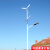 日月升 太阳能风光互补路灯 风力发电路灯 太阳能灯 含风机 5米20W(含灯杆)