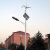 日月升 太阳能风光互补路灯 风力发电路灯 太阳能灯 含风机 5米20W(含灯杆)