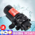 12v电动喷雾器水泵电机小马达配件高压自吸泵隔膜泵 A型螺纹款