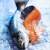 喵小二 智利三文鱼整条（大西洋鲑）7.0-6.0kg/条 新鲜冷冻非刺身可免费轮切鱼排