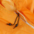 谋福 多功能连体防护服 防尘服防雨服  粉末喷漆打磨工业工作服 橙色 特大2XL-180