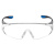 霍尼韦尔 /Honeywell 300110 300A 防护眼镜  耐刮擦防雾眼镜  透明镜片 灰蓝镜框  1副